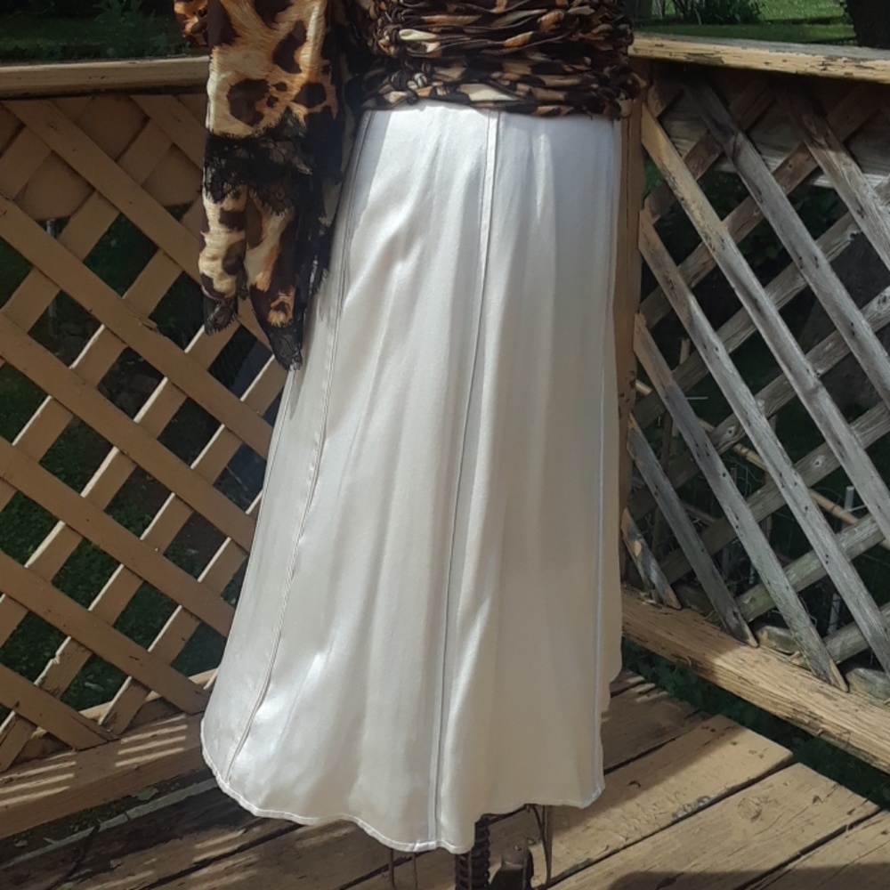 NEW Patrick Christopher Beige Silk Skirt sz 6 - Picture 3 of 10